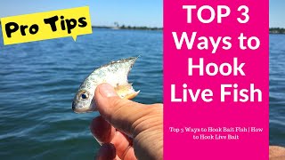 Top 3 Ways to Hook Bait Fish  How to Hook Live Bait [upl. by Pentheas238]