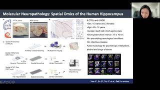 Spatial Omics Mapping of Human Brain Disorders [upl. by Dinsmore]