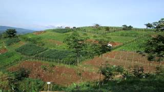 Conservation Agriculture in the Philippines [upl. by Attelocin]