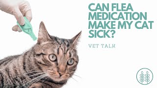 Q Can flea medication make my cat sick│ Twin Trees Vet Talk FREE VET ADVICE PODCAST [upl. by Prestige]