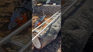 Let’s cut this big oak log into slabs 🪵🪚alaskanchainsawmill ms881 granberginternational ezrail [upl. by Oriane]