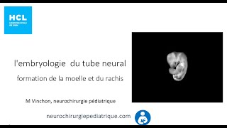 embryologie de la moelle épinière [upl. by Enneirdna]