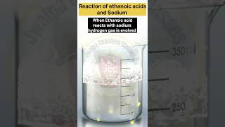 Reaction of Ethanoic acid with sodium shortsfeed practical scienceexperiment chemistry shorts [upl. by Coray193]