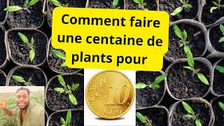 Comment faire une centaine de plants pour 10 centimes € [upl. by Maillil76]