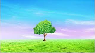 own creativity tree Animation 🌳 by harlin neya 22uvc546 [upl. by Slen]