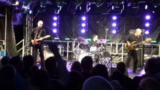 The Wilko Johnson Band  Roxette  Live at Hampton Lido  150717 [upl. by Godden134]