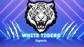 White Tigers Esports  Tillerman 4k Glock on Inferno [upl. by Kalle]