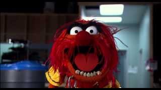 Official Teaser Trailer  Muppets Most Wanted  The Muppets [upl. by Orips596]