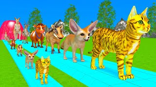 Paint Animals DuckTigerCowLionBuffaloGorillaElephantDinosaur Fountain Crossing Animal Game Ka [upl. by Cooperman215]