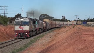 The Long Distance Trains Of The Trans Australian Railway [upl. by Tteve]