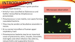 Disease Caused by Streptococcus Pneumoniae in English [upl. by Refitsirhc852]