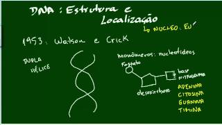 DNA  Introdução [upl. by Joacimah639]