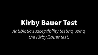 Kirby Bauer Test [upl. by Jenni]