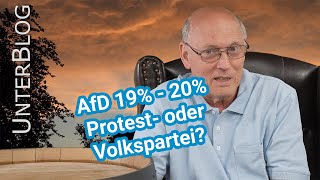 Aufstieg der AfD – Meine Position Hintergründe Ausblick Hoffnungslosigkeit [upl. by Woehick]