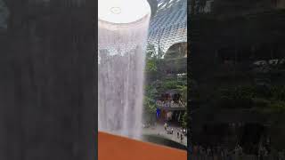 Naik Skytrain dari T3 ke T2 Jewel Changi Airport ngelewatin HSBC Rain Vortex [upl. by Lorianna]