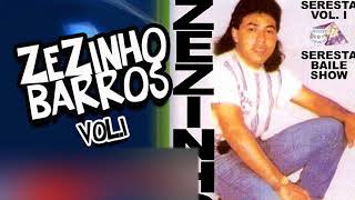 ZEZINHO BARROS VOL 1  FILHO DO DONO [upl. by Llirrem956]