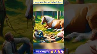 A pregnant horse is helpless help animals pregnant alone horsessshorts [upl. by Lazarus769]