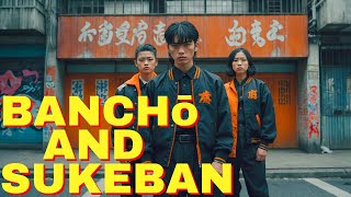 Japans Most Notorious School Gangs explained in 8 minutes [upl. by Llyrrad]