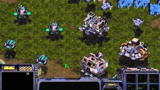 Starcraft Brood War Episodio 5  Campaña Terran  Escenas en Español [upl. by Kentiggerma]