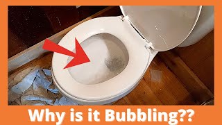 Toilet Bubbles When Other Is Flushed [upl. by Mandelbaum]