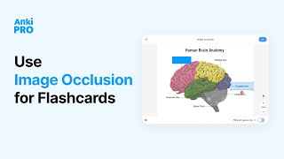 🖼 Use Image Occlusion for Flashcards  Anki Pro [upl. by Aiciram347]