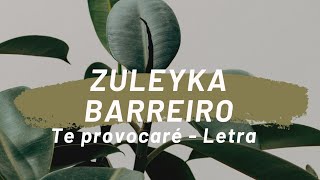 Zuleyka Barreiro Te provocare Letra [upl. by Caldera]