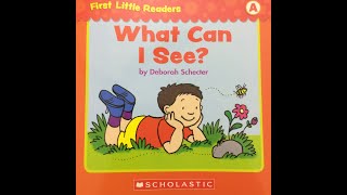 WHAT CAN I SEE  BOOKS READ ALOUD FOR KIDS  Scholastic First Little Readers Level A [upl. by Rubia]