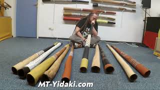 MTYidaki playing a Dhapa Ganambarr F  F yiḏaki  didgeridoo [upl. by Reagan]