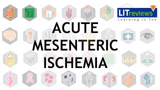 Acute Mesenteric Ischemia [upl. by Enellij]