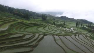 Infinite Rice Terraces [upl. by Felicia]