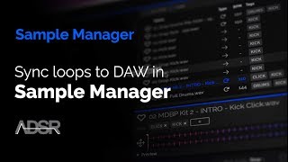 Sync loops to DAW tempo in ADSR Sample Manager   FREE plugin Download [upl. by Keslie871]