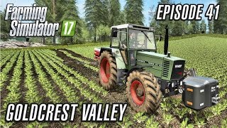 Lets Play Farming Simulator 2017  Goldcrest Valley  Episode 41 [upl. by Rennie]