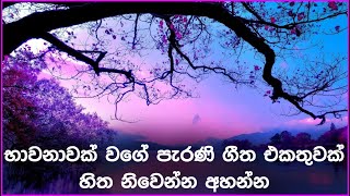 නිදහසේ අහන්න සුපිරිම පැරණි සිංහල සින්දු  Best Sinhala Old Songs Collection  SL Evoke Music [upl. by Bortz811]