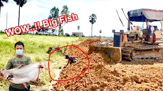 Landslide in this Project was Almost Successful By Bulldozer amp 5Ton  Shovel Caught Big Fish [upl. by Pavel161]