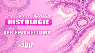 HISTOLOGIE 1ère année  TMC CAMP  EPITHELIUMS de REVETEMENT  By Islam [upl. by Phio]