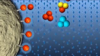 Hydrophobic Interaction Chromatography GFP Purification part 4 of 6 [upl. by Ashbaugh]