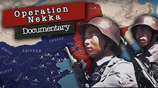 Operation Nekka Japans Blitz Into North China Second SinoJapanese War Documentary [upl. by Fonda628]