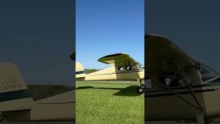 1946 Cessna 120 builtnotbought cessna tailwheel taildragger restored vintage barnstormer [upl. by Willem838]