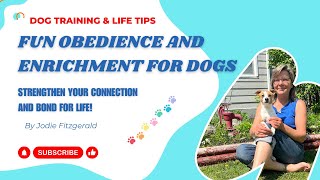 Fun Obedience amp Enrichment For Dogs [upl. by Siradal]