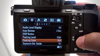 Manual Focus Tools MF Assist and Peaking Levels on Sony Cameras [upl. by Virgie184]