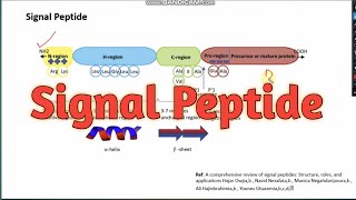 Signal peptide ll CSIRNET Life science ll xgene amp proteinx [upl. by Guntar]