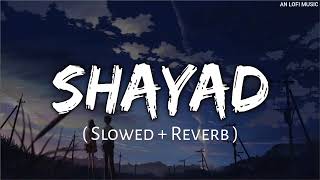 SHAYAD 💞  SLOWED  REVERB  ARIJIT SINGH SONG 💖 [upl. by Josephina]