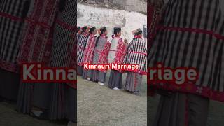 Kinnauri Marriage Beautiful Kinnauri Nati [upl. by Aivatahs]