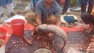 Blood Carp Fish Cutting Skills Fish Cutting Video fishcutting [upl. by Leoni]