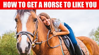 10 Scientific Ways to Get a Horse to Like You [upl. by Kisor]