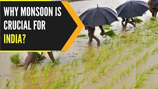 How important is the monsoon for the Indian economy  WION Originals [upl. by Adnuahsor]