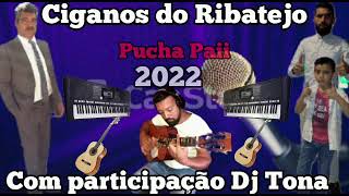 🇵🇹Musica Cigana Portuguesa Ciganos Do Ribatejo Pucha Paii Dj Tona 2022 Portugal🇵🇹 [upl. by Ana]