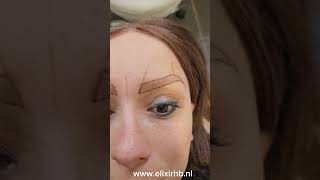 www Elixirhbnl elixiracademy eyebrowsmakeup permanentmakeup nanobrows [upl. by Harbison]