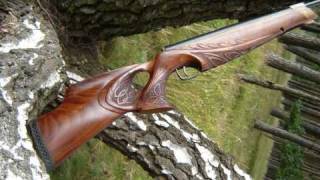 Elven EagleEye custom stock by LP Gunstocks [upl. by Zingg547]