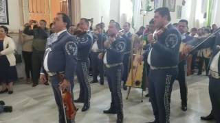 Mañanitas al Sr de La Misericordia  Mariachi Vargas [upl. by Nemrak]